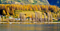 Lake Wanaka Autumn Foliage