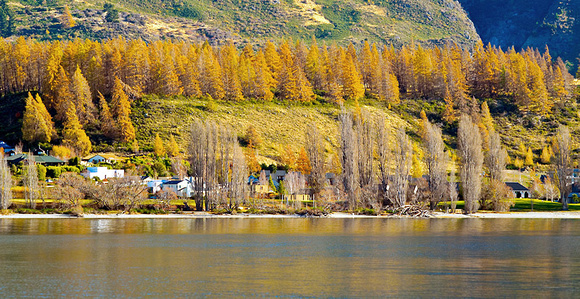 Lake Wanaka Autumn Foliage
