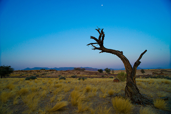 Namib Landscape near Bethesda Lodge