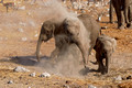 Etosha Elephants - Okaukuejo Water Hole