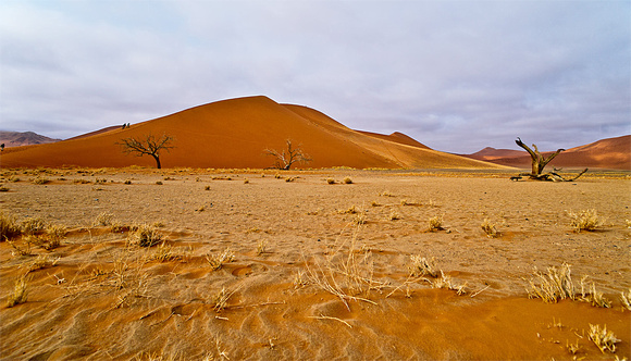 Sossuvlei Sand Dune